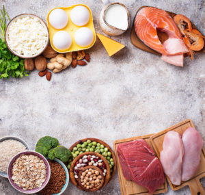 What is protein? And why is it important?